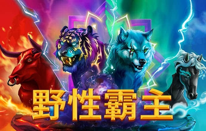 4G彩票官方网站入口